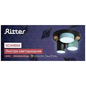 Потолочная люстра Ritter Scandia 52074 0